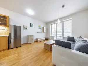 Prodej bytu 2+kk, Brno, Ke Statku, 45 m2