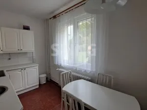 Pronájem bytu 2+1, Postřelmov, Nová, 9 m2