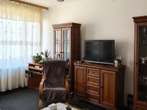 Prodej bytu 3+1, Benešov, Na Tržišti, 66 m2