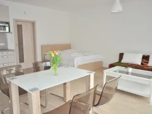 Pronájem bytu 1+kk, Praha - Žižkov, Olšanská, 40 m2