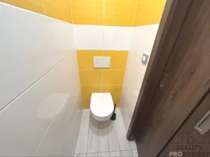 Pronájem bytu 1+1, Hodonín, Brandlova, 39 m2