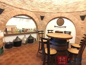 Prodej ubytování, Dyjákovice, 206 m2