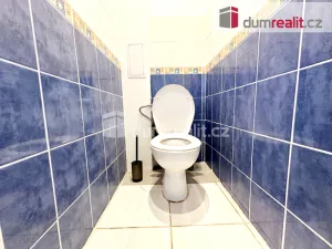 Pronájem bytu 2+kk, Ústí nad Labem - Klíše, Klíšská, 52 m2