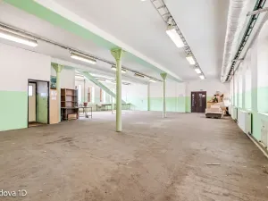 Pronájem komerční nemovitosti, Děčín, Rudolfova, 5199 m2