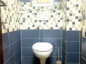Prodej rodinného domu, Vlašim - Nesperská Lhota, 200 m2
