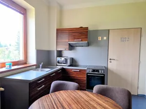Prodej ubytování, Třinec, Husova, 360 m2