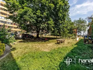 Pronájem bytu 2+1, Olomouc, Hálkova, 44 m2