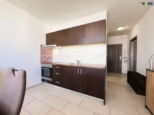Pronájem bytu 1+1, Hradec Králové, Selicharova, 40 m2