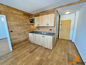 Pronájem bytu 1+1, Ústí nad Labem, Zahradní, 33 m2