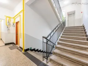 Pronájem bytu 1+1, Praha - Žižkov, Jeseniova, 34 m2