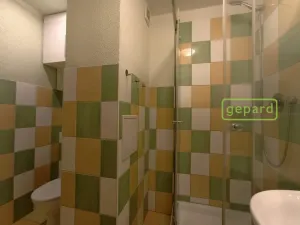 Prodej bytu 1+kk, Bor, Borská, 20 m2
