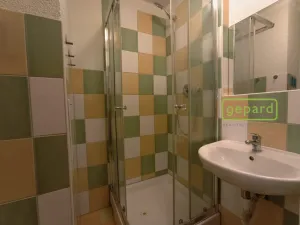 Prodej bytu 1+kk, Bor, Borská, 20 m2