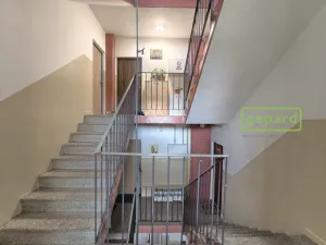 Prodej bytu 1+kk, Bor, Borská, 20 m2
