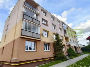 Prodej bytu 1+kk, Bor, Borská, 20 m2