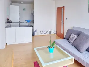 Pronájem bytu 2+kk, Praha, Nechvílova, 54 m2