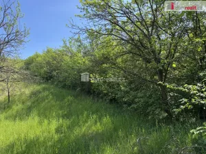 Prodej louky, Uherské Hradiště, Partyzánská, 5056 m2