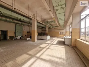 Pronájem výrobních prostor, Příbram - Příbram VI-Březové Hory, K Podlesí, 731 m2