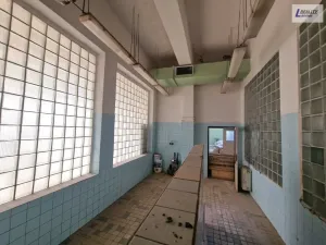Pronájem výrobních prostor, Příbram - Příbram VI-Březové Hory, K Podlesí, 731 m2