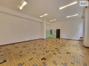 Pronájem komerční nemovitosti, Příbram - Příbram VI-Březové Hory, K Podlesí, 90 m2