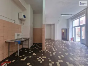 Pronájem komerční nemovitosti, Příbram - Příbram VI-Březové Hory, K Podlesí, 90 m2
