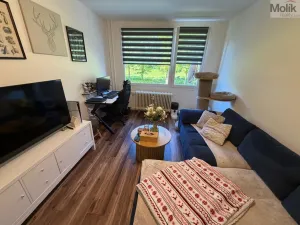Prodej bytu 2+kk, Most, Jaroslava Haška, 39 m2