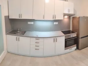 Pronájem bytu 1+kk, České Budějovice - České Budějovice 2, U Lesa, 26 m2