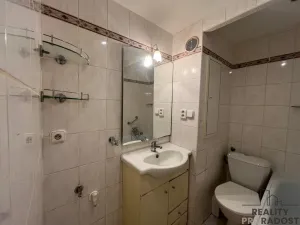 Pronájem bytu 1+1, Duchcov, Vrchlického, 35 m2