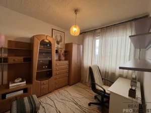 Pronájem bytu 1+1, Duchcov, Vrchlického, 35 m2
