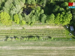 Prodej pole, Petrovice u Karviné, 6810 m2