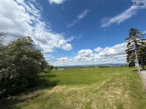 Prodej pozemku pro bydlení, Skršín, 4578 m2