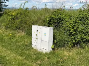 Prodej pozemku pro bydlení, Skršín, 4578 m2
