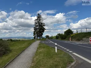 Prodej pozemku pro bydlení, Skršín, 4578 m2