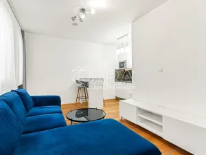 Pronájem bytu 2+kk, Praha - Vinohrady, Perucká, 41 m2