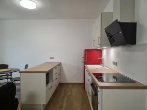 Pronájem bytu 1+kk, Plzeň, Na Rybníčku, 51 m2