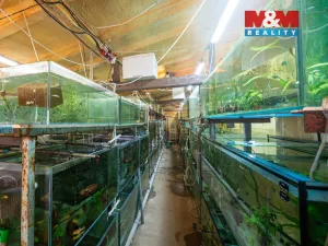 Pronájem obchodního prostoru, Senohraby, Hlavní, 64 m2