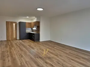 Pronájem bytu 1+kk, Olomouc, Janského, 52 m2