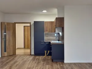 Pronájem bytu 1+kk, Olomouc, Janského, 52 m2