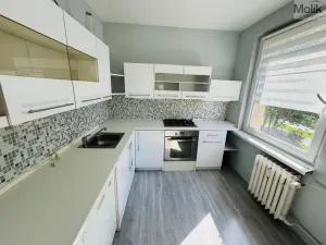 Prodej bytu 3+1, Most, K. J. Erbena, 70 m2