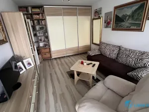 Pronájem bytu 1+1, Frýdek-Místek, Ostravská, 32 m2