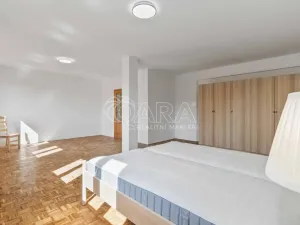 Pronájem bytu 5+kk, Praha - Nové Město, Kateřinská, 184 m2