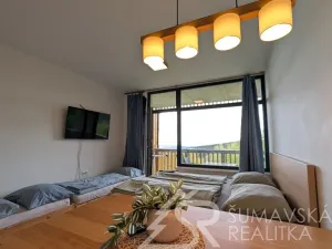 Prodej bytu 1+kk, Stachy, Zadov, 27 m2