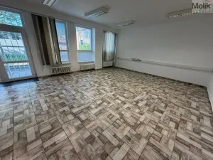 Pronájem kanceláře, Most, Růžová, 167 m2