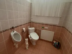 Pronájem kanceláře, Most, Růžová, 167 m2