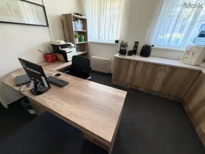 Pronájem kanceláře, Most, Růžová, 84 m2