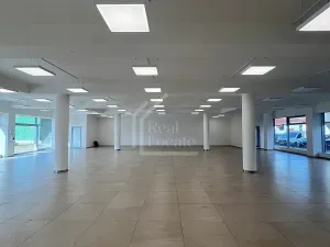 Pronájem obchodního prostoru, Praha - Vršovice, Pod soutratím, 481 m2