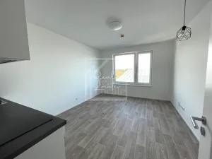 Pronájem bytu 1+kk, Praha - Hlubočepy, K Barrandovu, 25 m2