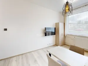 Pronájem bytu 1+kk, Humpolec, Na Rybníčku, 19 m2