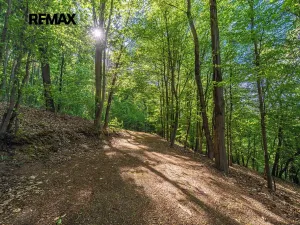 Prodej chaty, Smědčice, 55 m2