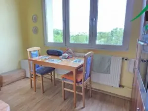 Pronájem bytu 3+1, Tachov, Bělojarská, 82 m2
