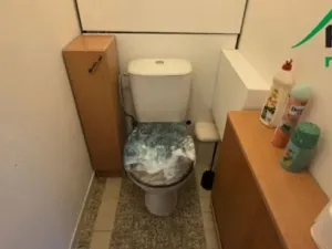 Pronájem bytu 3+1, Planá, Bohušova, 79 m2